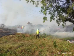 Kebakaran Lahan Tebu di Sragi Pekalongan, Petugas Berjibaku Cegah Api Merembet